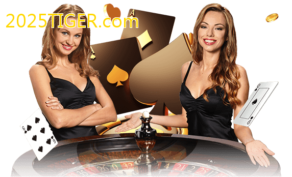 Jogue com dealers reais no 2025TIGER.com!